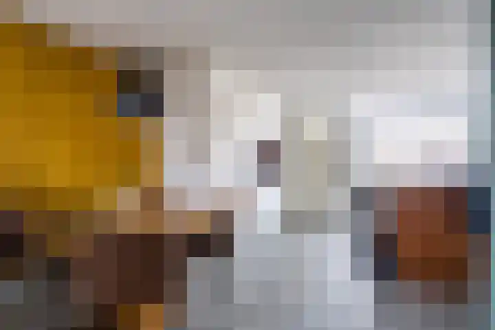 Martinushof 24 Weert thumbnail 10
