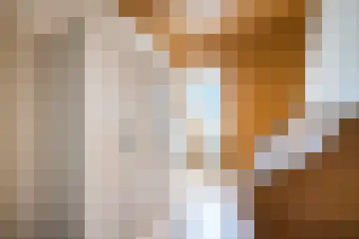 Martinushof 24 Weert thumbnail 30