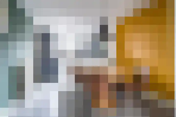 Martinushof 24 Weert thumbnail 8