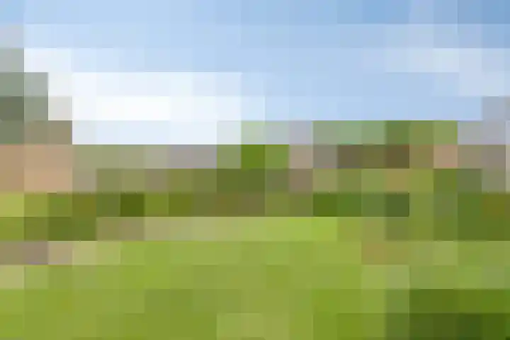 Foto van Marton Steinvoort