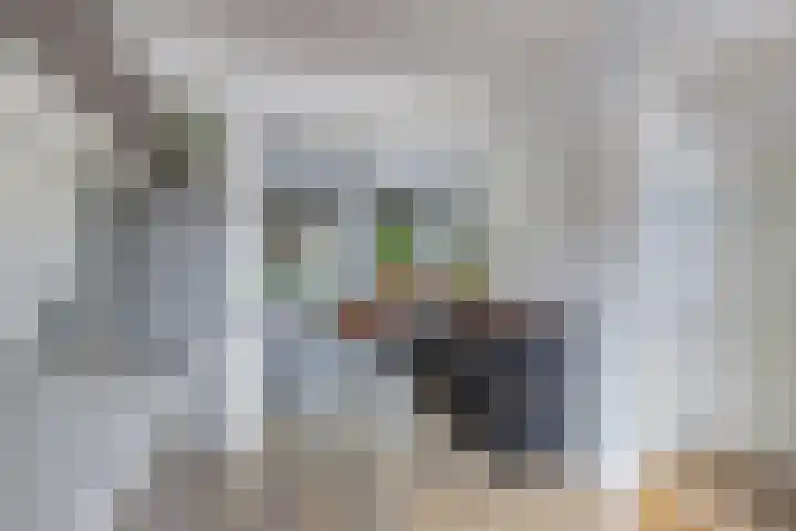 Marwei 102 Delfstrahuizen thumbnail 10