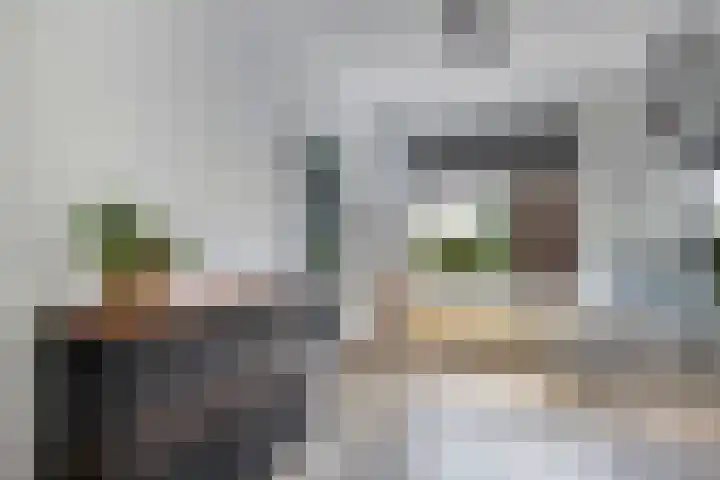 Marwei 102 Delfstrahuizen thumbnail 11