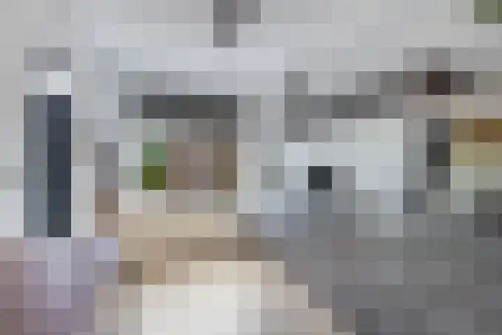 Marwei 102 Delfstrahuizen thumbnail 13