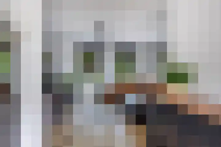 Marwei 102 Delfstrahuizen thumbnail 14
