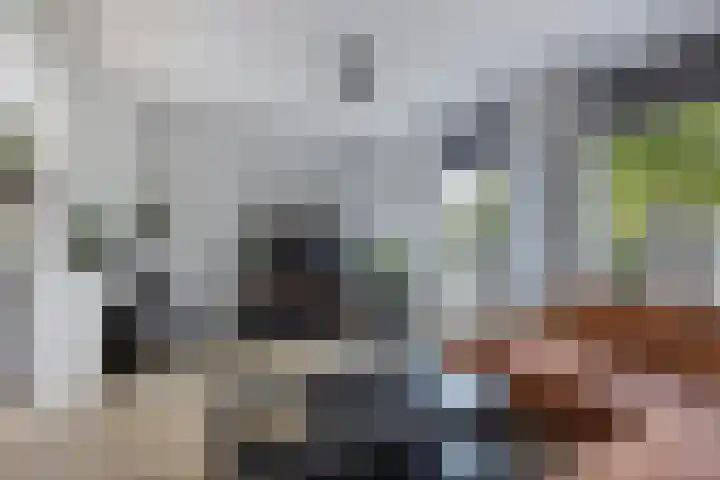 Marwei 102 Delfstrahuizen thumbnail 17