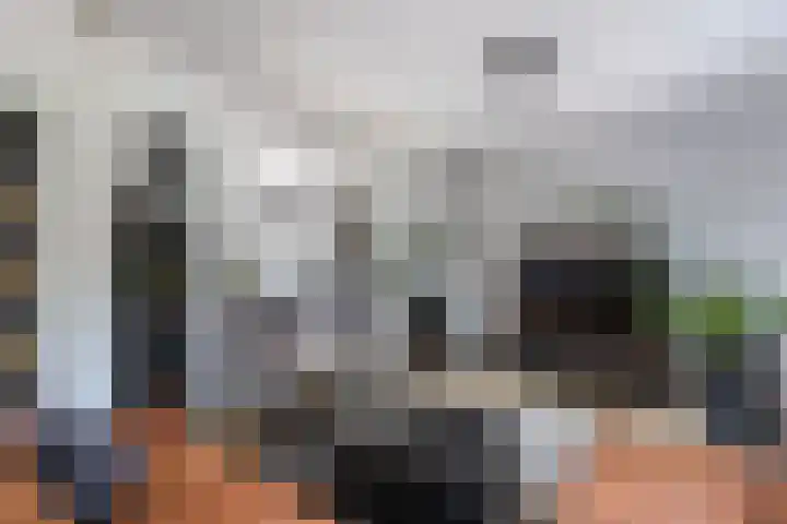Marwei 102 Delfstrahuizen thumbnail 18