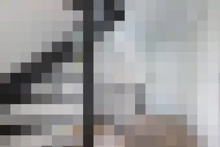 Marwei 102 Delfstrahuizen thumbnail 19