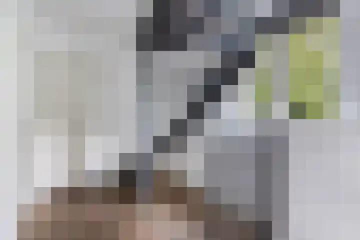 Marwei 102 Delfstrahuizen thumbnail 20