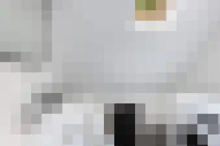 Marwei 102 Delfstrahuizen thumbnail 28