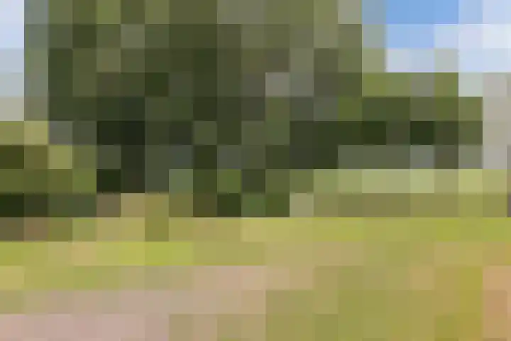 Marwei 102 Delfstrahuizen thumbnail 37