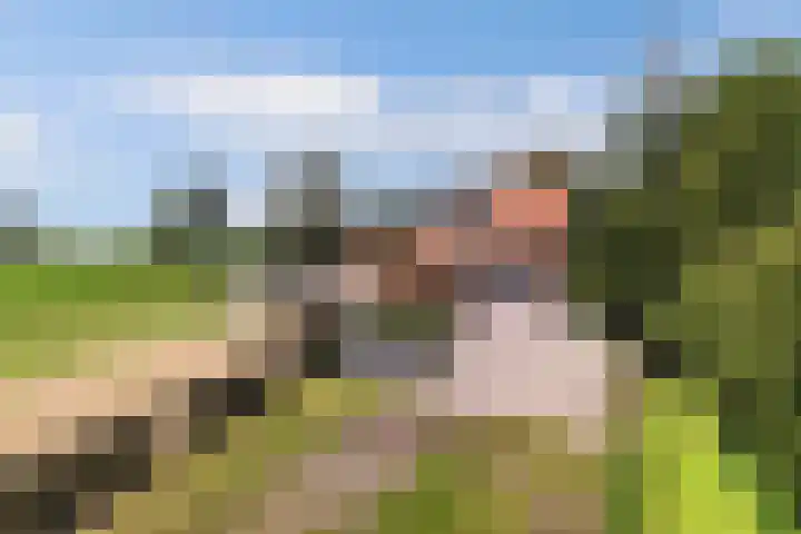 Marwei 102 Delfstrahuizen thumbnail 41