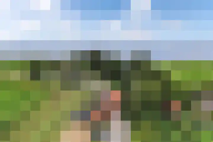 Marwei 102 Delfstrahuizen thumbnail 43