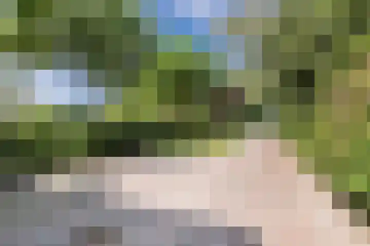 Marwei 102 Delfstrahuizen thumbnail 48