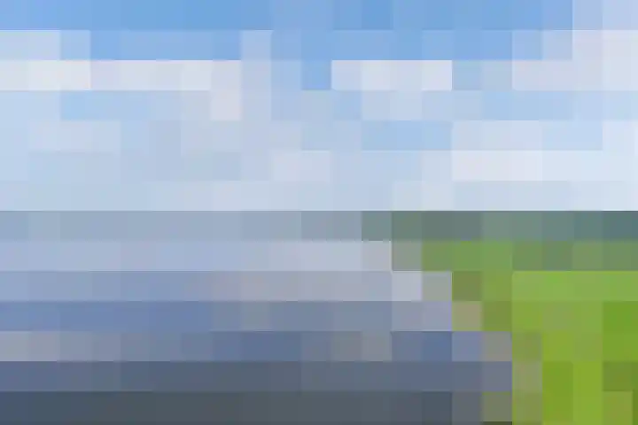 Marwei 102 Delfstrahuizen thumbnail 49