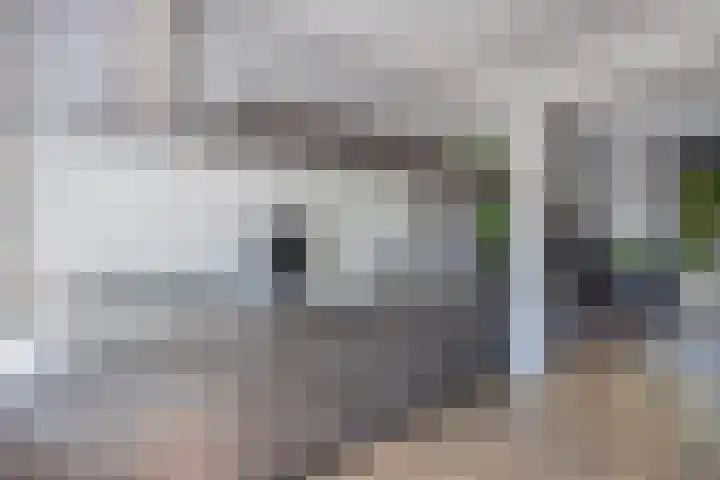 Marwei 102 Delfstrahuizen thumbnail 9