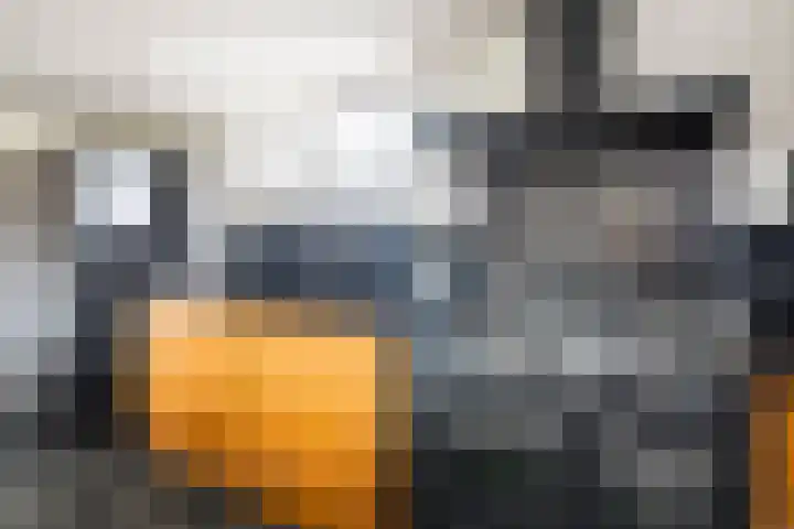 Marwei 4 Jistrum thumbnail 16