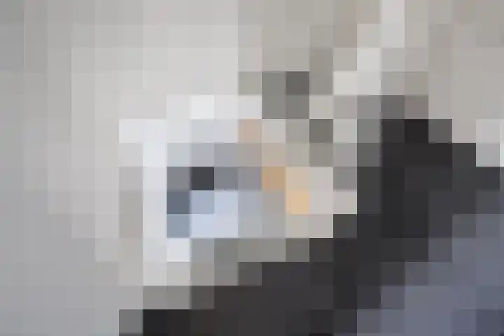 Marwei 4 Jistrum thumbnail 27