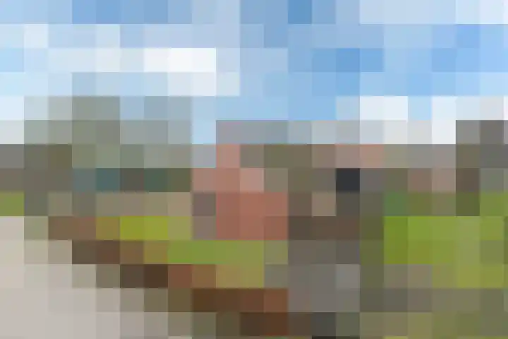 Marwei 4 Jistrum thumbnail 37