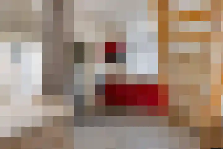 Marwei 42 Delfstrahuizen thumbnail 10