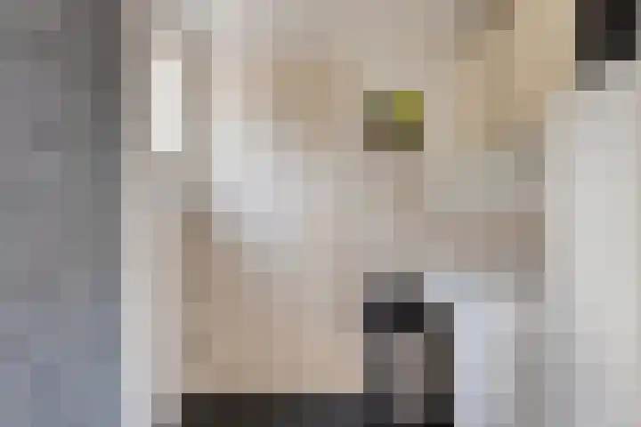 Marwei 42 Delfstrahuizen thumbnail 13