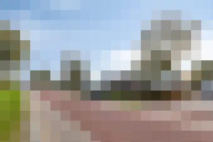 Marwei 42 Delfstrahuizen thumbnail 16