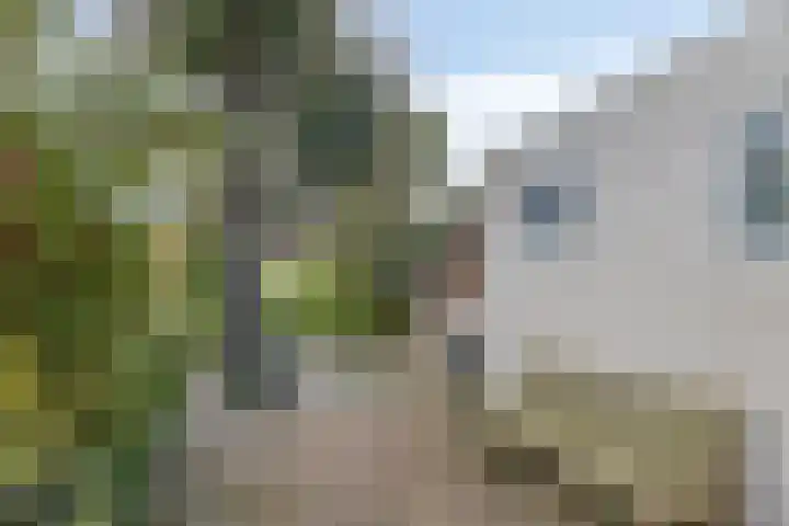 Marwei 42 Delfstrahuizen thumbnail 17