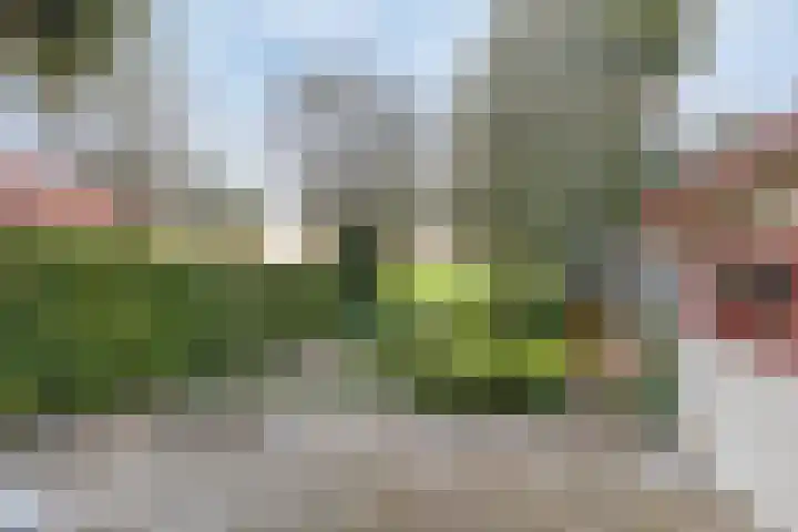 Marwei 42 Delfstrahuizen thumbnail 18