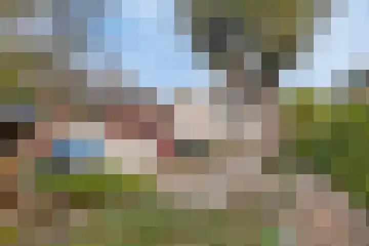 Marwei 42 Delfstrahuizen thumbnail 20