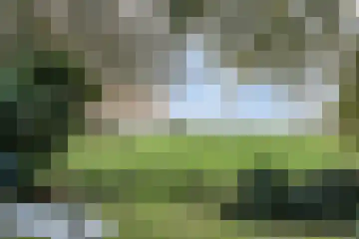 Marwei 42 Delfstrahuizen thumbnail 21