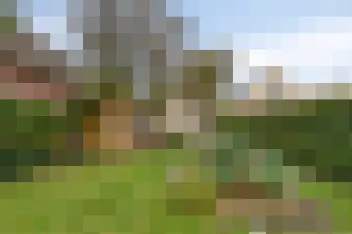 Marwei 42 Delfstrahuizen thumbnail 22