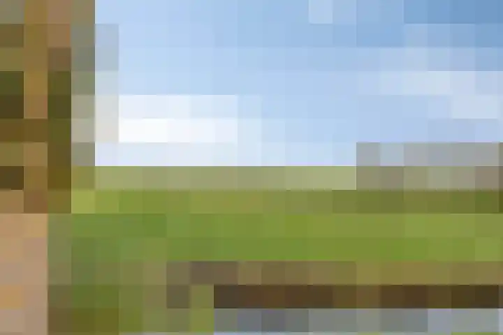 Marwei 42 Delfstrahuizen thumbnail 23