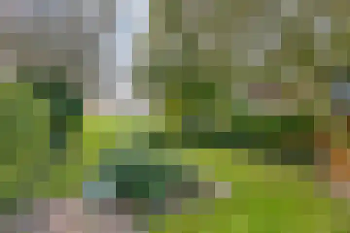 Marwei 42 Delfstrahuizen thumbnail 4