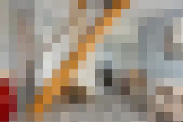 Marwei 42 Delfstrahuizen thumbnail 8