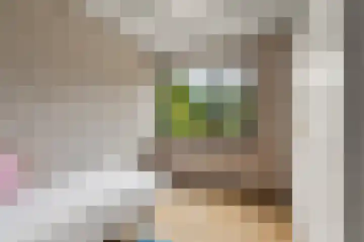 Marxstraat 8 Didam thumbnail 19