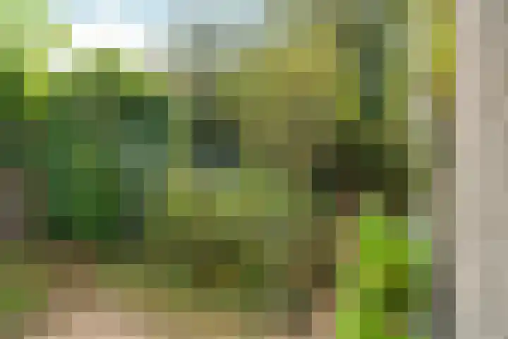Marxstraat 8 Didam thumbnail 35