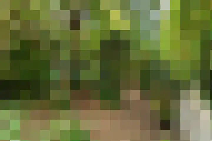 Marxstraat 8 Didam thumbnail 36