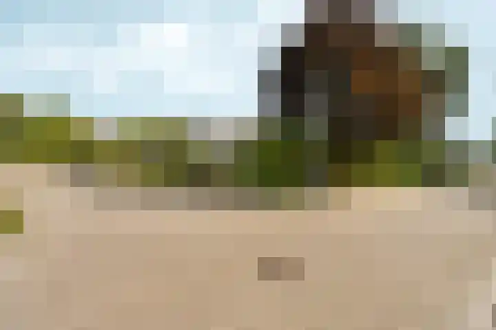 Marxstraat 8 Didam thumbnail 38