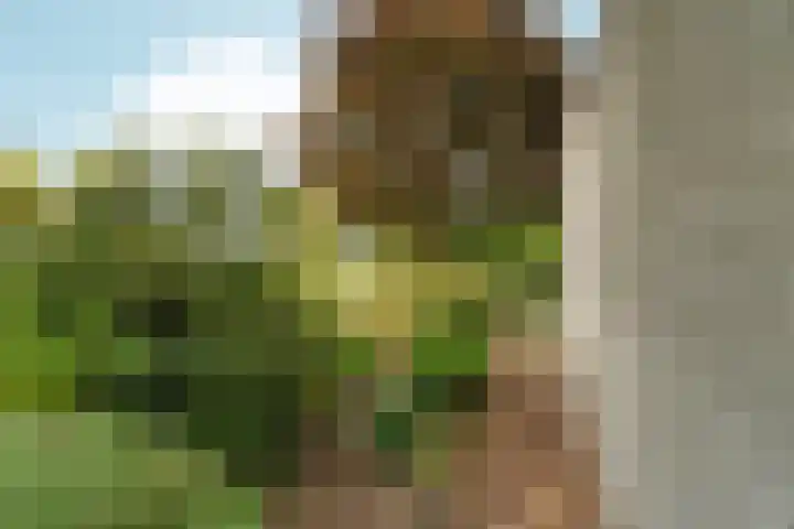 Marxstraat 8 Didam thumbnail 39