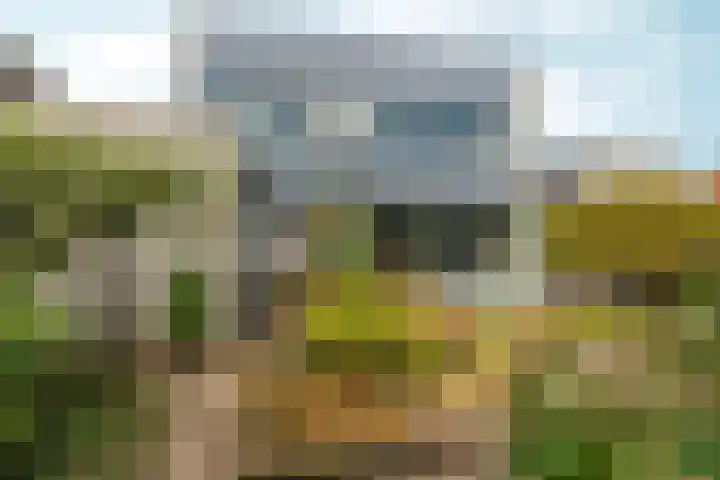 Marxstraat 8 Didam thumbnail 41