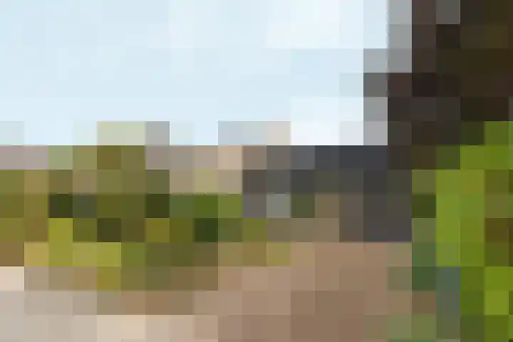 Marxstraat 8 Didam thumbnail 45