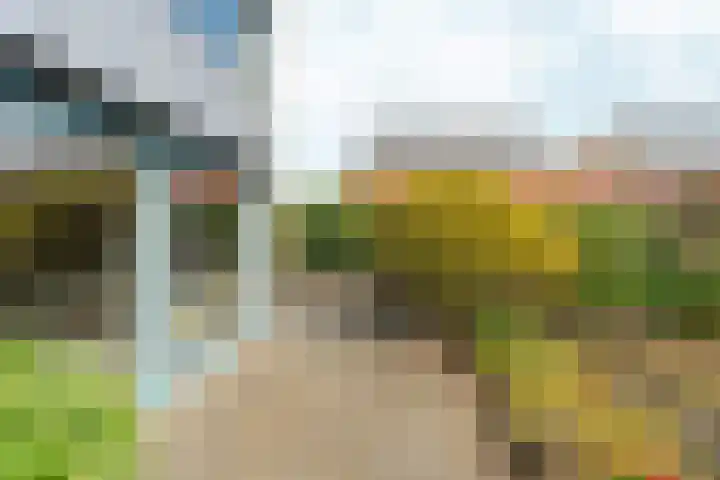 Marxstraat 8 Didam thumbnail 5