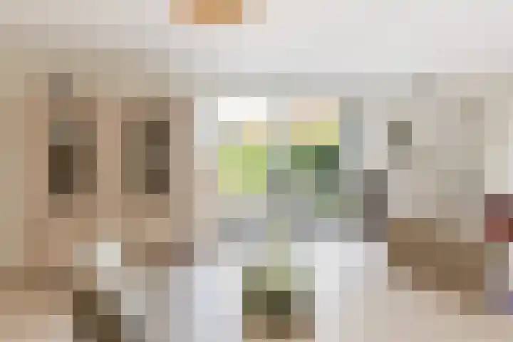 Mast 5 Wijk bij Duurstede thumbnail 13