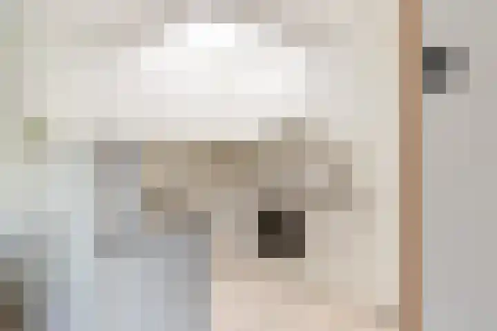 Mast 5 Wijk bij Duurstede thumbnail 16