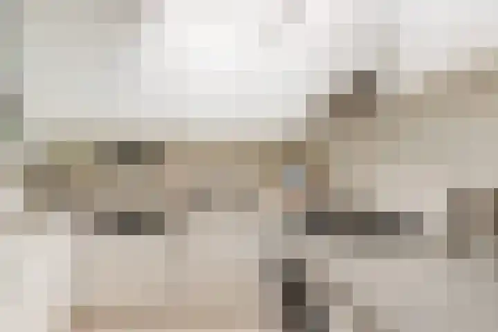 Mast 5 Wijk bij Duurstede thumbnail 17