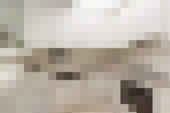 Mast 5 Wijk bij Duurstede thumbnail 18