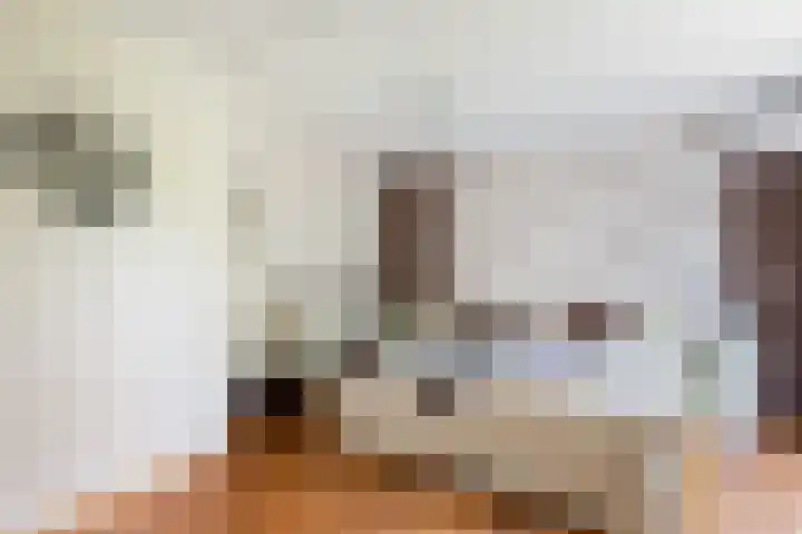 Mast 5 Wijk bij Duurstede thumbnail 23