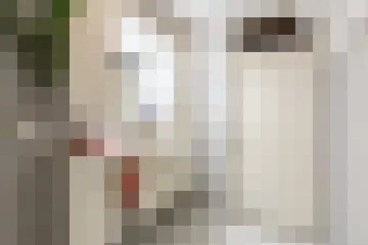 Mast 5 Wijk bij Duurstede thumbnail 27