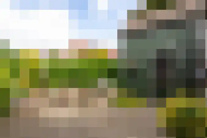 Mast 5 Wijk bij Duurstede thumbnail 31