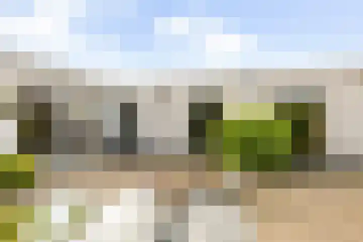 Mast 5 Wijk bij Duurstede thumbnail 33