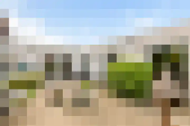 Mast 5 Wijk bij Duurstede thumbnail 34